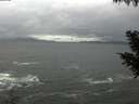 ./images/koeye/fitz-hugh/20200928/fitz-hugh20200928_114502.jpg