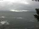 ./images/koeye/fitz-hugh/20200928/fitz-hugh20200928_115002.jpg