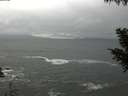 ./images/koeye/fitz-hugh/20200928/fitz-hugh20200928_115501.jpg