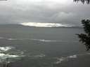 ./images/koeye/fitz-hugh/20200928/fitz-hugh20200928_120501.jpg