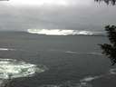 ./images/koeye/fitz-hugh/20200928/fitz-hugh20200928_121001.jpg
