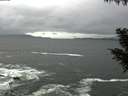 ./images/koeye/fitz-hugh/20200928/fitz-hugh20200928_121501.jpg