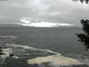 ./images/koeye/fitz-hugh/20200928/fitz-hugh20200928_135002.jpg