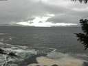 ./images/koeye/fitz-hugh/20200928/fitz-hugh20200928_141001.jpg