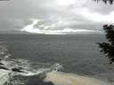 ./images/koeye/fitz-hugh/20200928/fitz-hugh20200928_141501.jpg