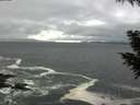 ./images/koeye/fitz-hugh/20200928/fitz-hugh20200928_143501.jpg