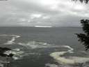 ./images/koeye/fitz-hugh/20200928/fitz-hugh20200928_144002.jpg