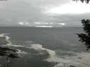 ./images/koeye/fitz-hugh/20200928/fitz-hugh20200928_144502.jpg