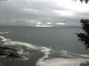 ./images/koeye/fitz-hugh/20200928/fitz-hugh20200928_145501.jpg