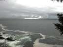 ./images/koeye/fitz-hugh/20200928/fitz-hugh20200928_150501.jpg
