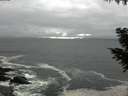 ./images/koeye/fitz-hugh/20200928/fitz-hugh20200928_151001.jpg