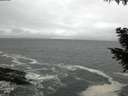 ./images/koeye/fitz-hugh/20200928/fitz-hugh20200928_152001.jpg