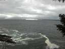 ./images/koeye/fitz-hugh/20200928/fitz-hugh20200928_153501.jpg