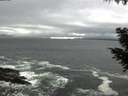 ./images/koeye/fitz-hugh/20200928/fitz-hugh20200928_154001.jpg