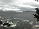 ./images/koeye/fitz-hugh/20200928/fitz-hugh20200928_154501.jpg