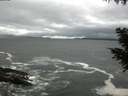 ./images/koeye/fitz-hugh/20200928/fitz-hugh20200928_155001.jpg