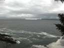 ./images/koeye/fitz-hugh/20200928/fitz-hugh20200928_161501.jpg