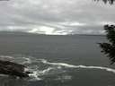 ./images/koeye/fitz-hugh/20200928/fitz-hugh20200928_162501.jpg