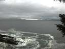 ./images/koeye/fitz-hugh/20200928/fitz-hugh20200928_165501.jpg