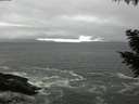 ./images/koeye/fitz-hugh/20200928/fitz-hugh20200928_171501.jpg
