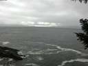 ./images/koeye/fitz-hugh/20200928/fitz-hugh20200928_172501.jpg