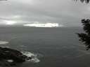 ./images/koeye/fitz-hugh/20200928/fitz-hugh20200928_173501.jpg