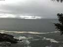 ./images/koeye/fitz-hugh/20200928/fitz-hugh20200928_175001.jpg