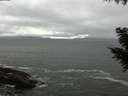 ./images/koeye/fitz-hugh/20200928/fitz-hugh20200928_175501.jpg