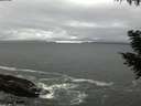 ./images/koeye/fitz-hugh/20200928/fitz-hugh20200928_180001.jpg