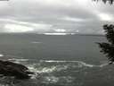 ./images/koeye/fitz-hugh/20200928/fitz-hugh20200928_180501.jpg