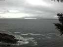 ./images/koeye/fitz-hugh/20200928/fitz-hugh20200928_181501.jpg