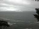 ./images/koeye/fitz-hugh/20200928/fitz-hugh20200928_182001.jpg