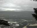 ./images/koeye/fitz-hugh/20200928/fitz-hugh20200928_182501.jpg