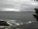 ./images/koeye/fitz-hugh/20200928/fitz-hugh20200928_184501.jpg