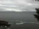 ./images/koeye/fitz-hugh/20200928/fitz-hugh20200928_185001.jpg