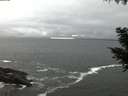 ./images/koeye/fitz-hugh/20200928/fitz-hugh20200928_193501.jpg