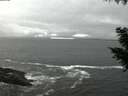 ./images/koeye/fitz-hugh/20200928/fitz-hugh20200928_194002.jpg