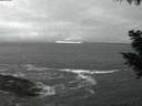 ./images/koeye/fitz-hugh/20200928/fitz-hugh20200928_194502.jpg