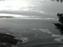 ./images/koeye/fitz-hugh/20200929/fitz-hugh20200929_065001.jpg