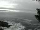 ./images/koeye/fitz-hugh/20200929/fitz-hugh20200929_065501.jpg