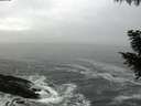 ./images/koeye/fitz-hugh/20200929/fitz-hugh20200929_071001.jpg