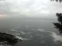 ./images/koeye/fitz-hugh/20200929/fitz-hugh20200929_074501.jpg