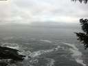 ./images/koeye/fitz-hugh/20200929/fitz-hugh20200929_075501.jpg
