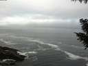 ./images/koeye/fitz-hugh/20200929/fitz-hugh20200929_080501.jpg