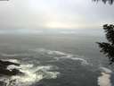 ./images/koeye/fitz-hugh/20200929/fitz-hugh20200929_084001.jpg