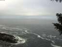 ./images/koeye/fitz-hugh/20200929/fitz-hugh20200929_084501.jpg