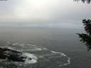 ./images/koeye/fitz-hugh/20200929/fitz-hugh20200929_085002.jpg