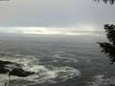 ./images/koeye/fitz-hugh/20200929/fitz-hugh20200929_091502.jpg
