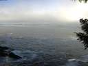 ./images/koeye/fitz-hugh/20200929/fitz-hugh20200929_093502.jpg