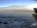 ./images/koeye/fitz-hugh/20200929/fitz-hugh20200929_094501.jpg